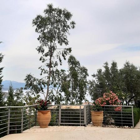 トロン Stone House In Olive Groveヴィラ エクステリア 写真