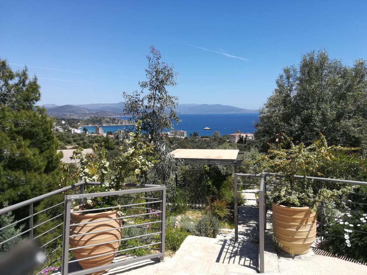 トロン Stone House In Olive Groveヴィラ エクステリア 写真