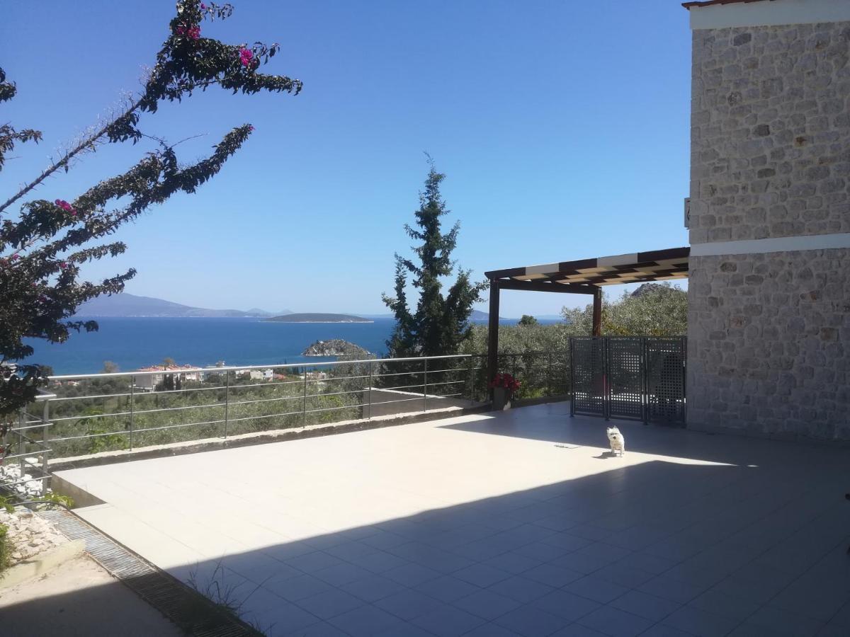 トロン Stone House In Olive Groveヴィラ エクステリア 写真