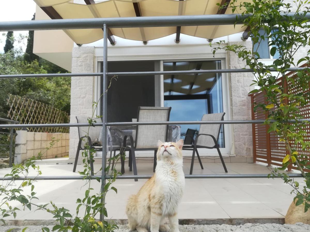 トロン Stone House In Olive Groveヴィラ エクステリア 写真