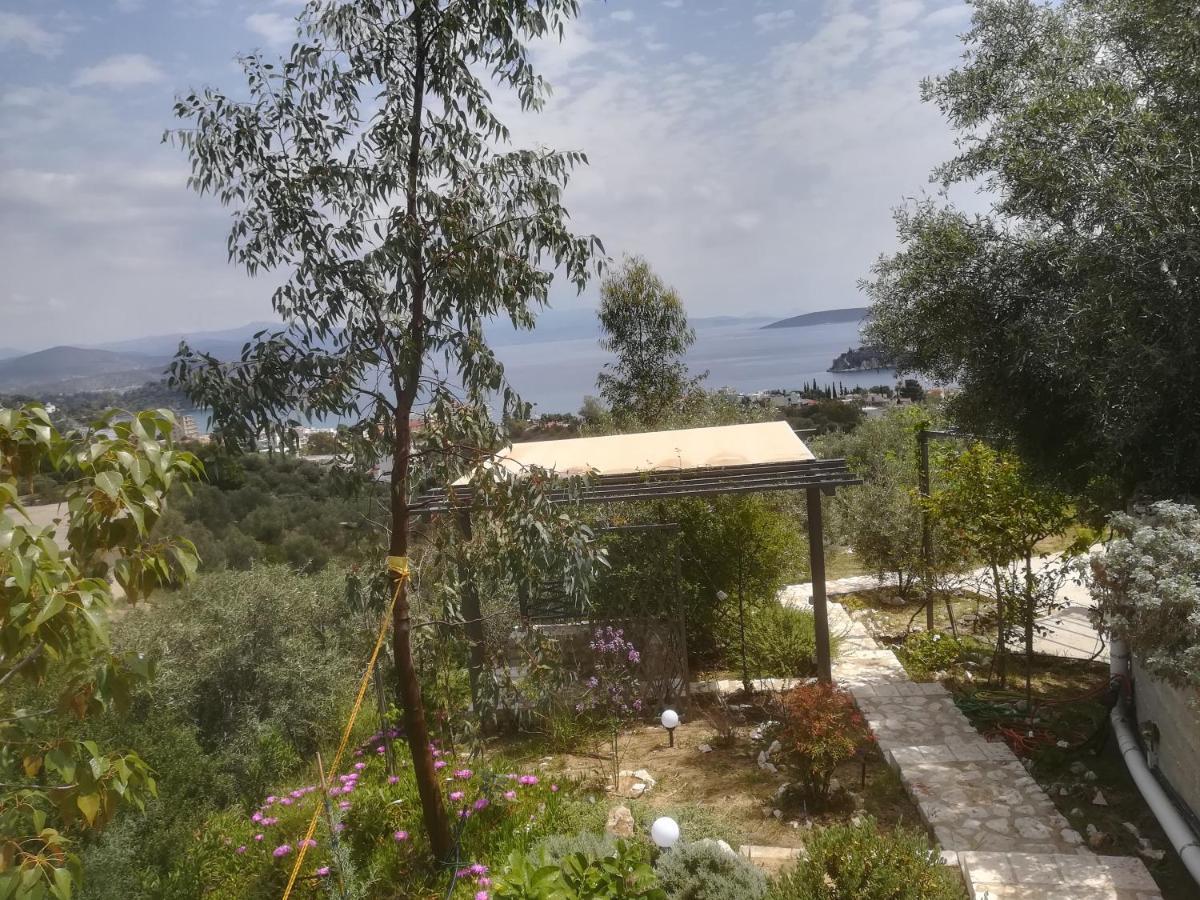 トロン Stone House In Olive Groveヴィラ エクステリア 写真