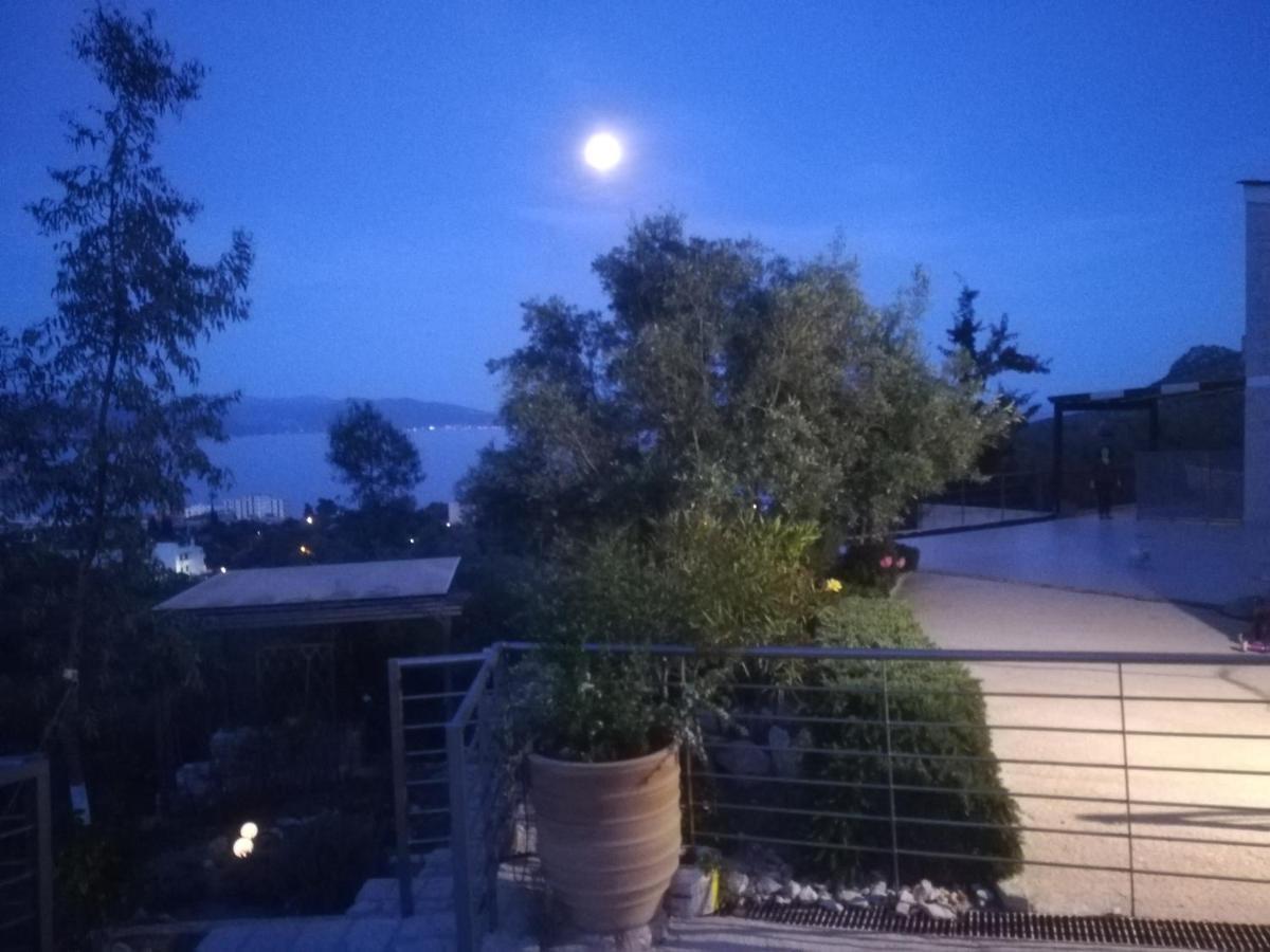 トロン Stone House In Olive Groveヴィラ エクステリア 写真