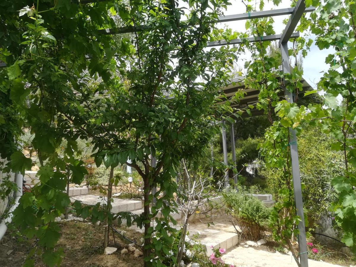トロン Stone House In Olive Groveヴィラ エクステリア 写真