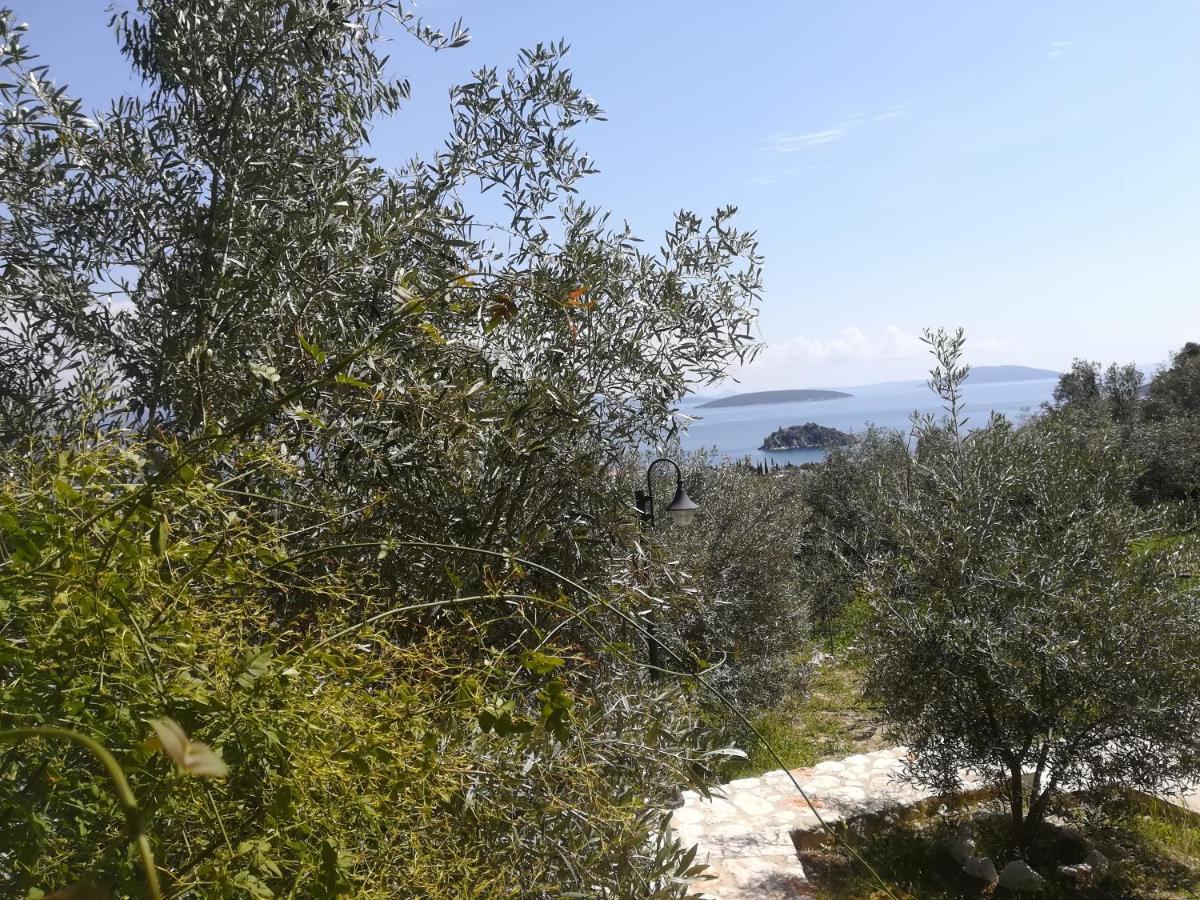 トロン Stone House In Olive Groveヴィラ エクステリア 写真