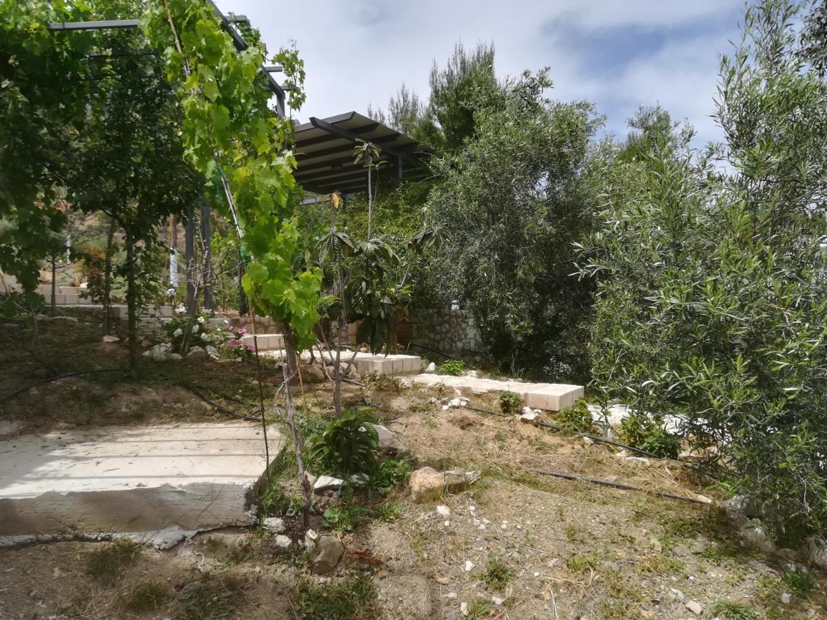 トロン Stone House In Olive Groveヴィラ エクステリア 写真