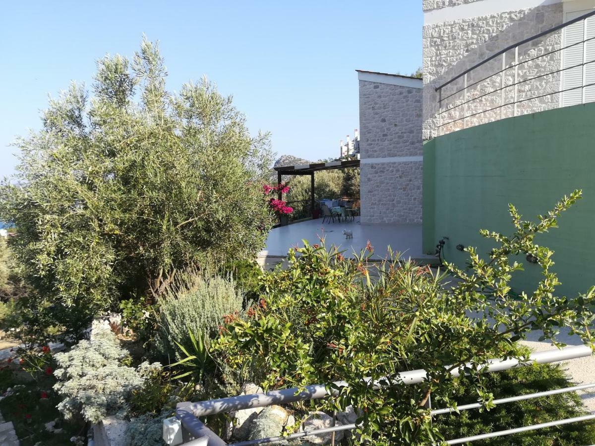 トロン Stone House In Olive Groveヴィラ エクステリア 写真