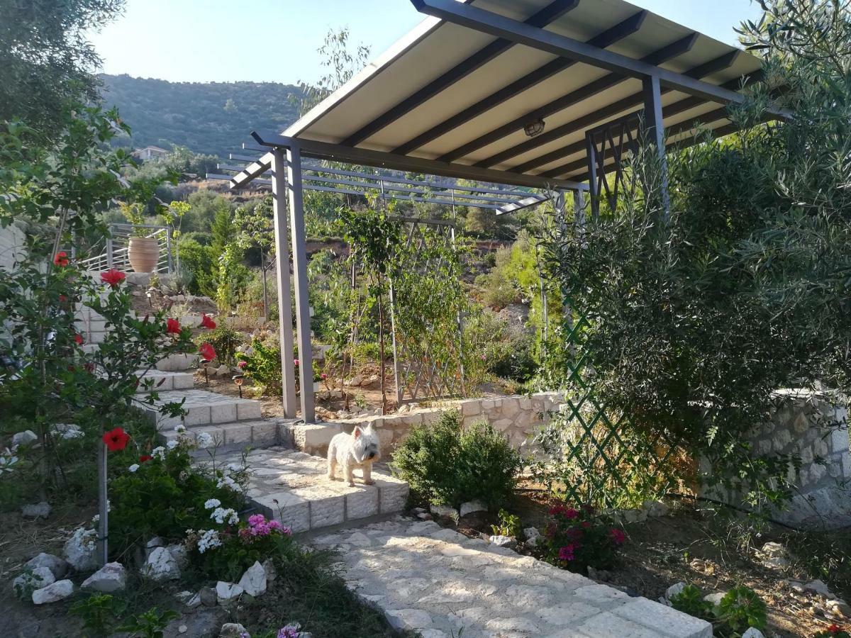 トロン Stone House In Olive Groveヴィラ エクステリア 写真