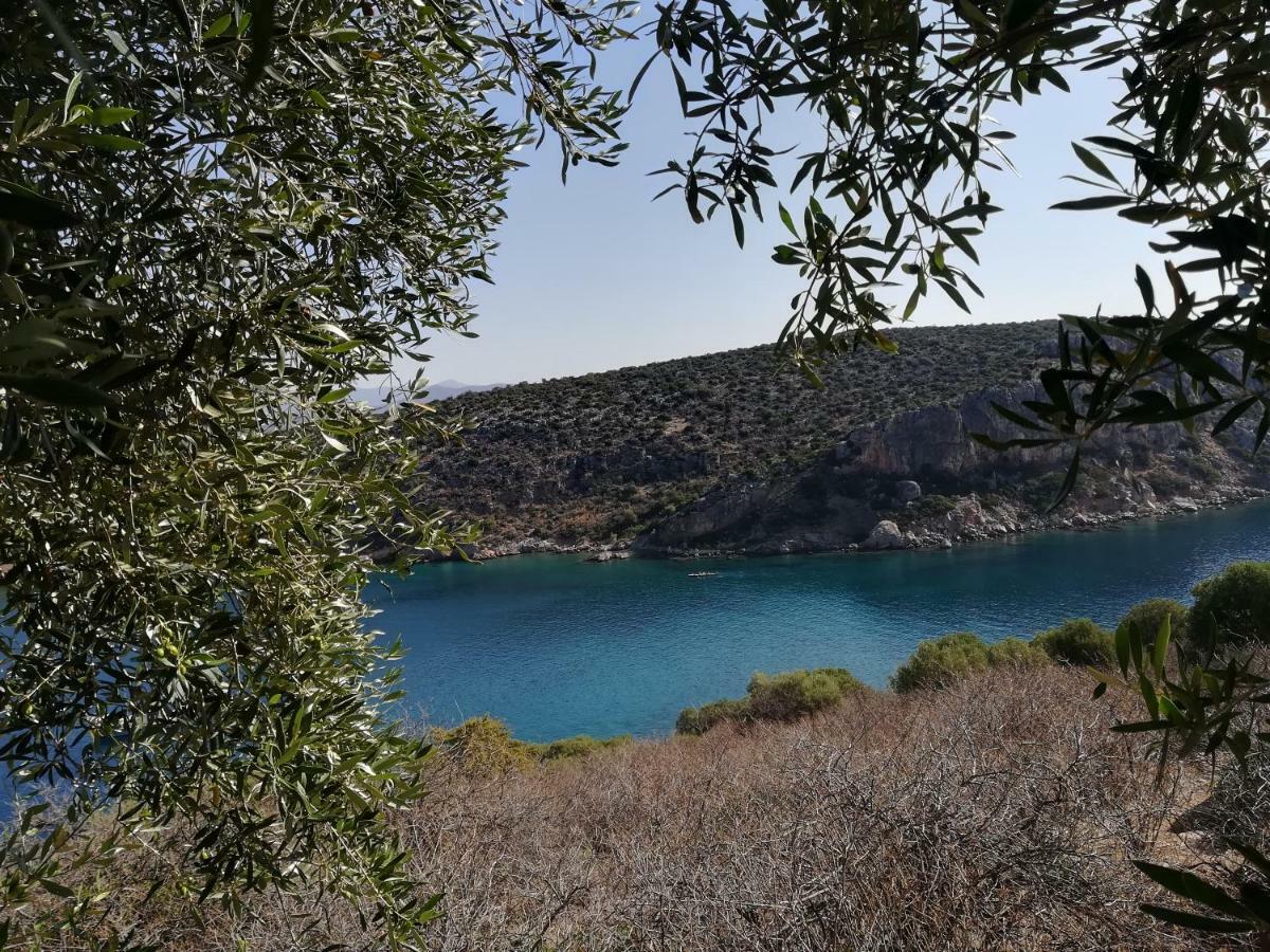 トロン Stone House In Olive Groveヴィラ エクステリア 写真