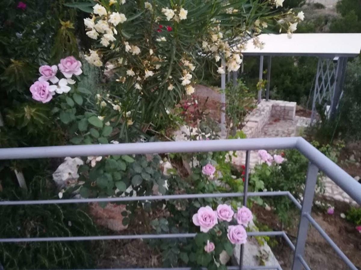 トロン Stone House In Olive Groveヴィラ エクステリア 写真